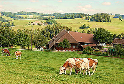 Ich bin in Rüegsauschachen auf der Brittern geboren, Mein Geburtshaus, kleines Haus rechts des Weilers im Hindergrund.